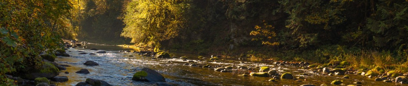 Wildwood Salmon River