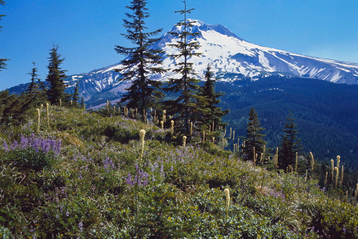 Mt. Hood Valley Mt. Hood Valley